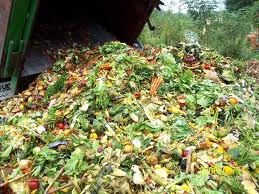 Why Food Waste is a good thing!