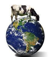 Meat and Greenhouse Gas on Earth Day