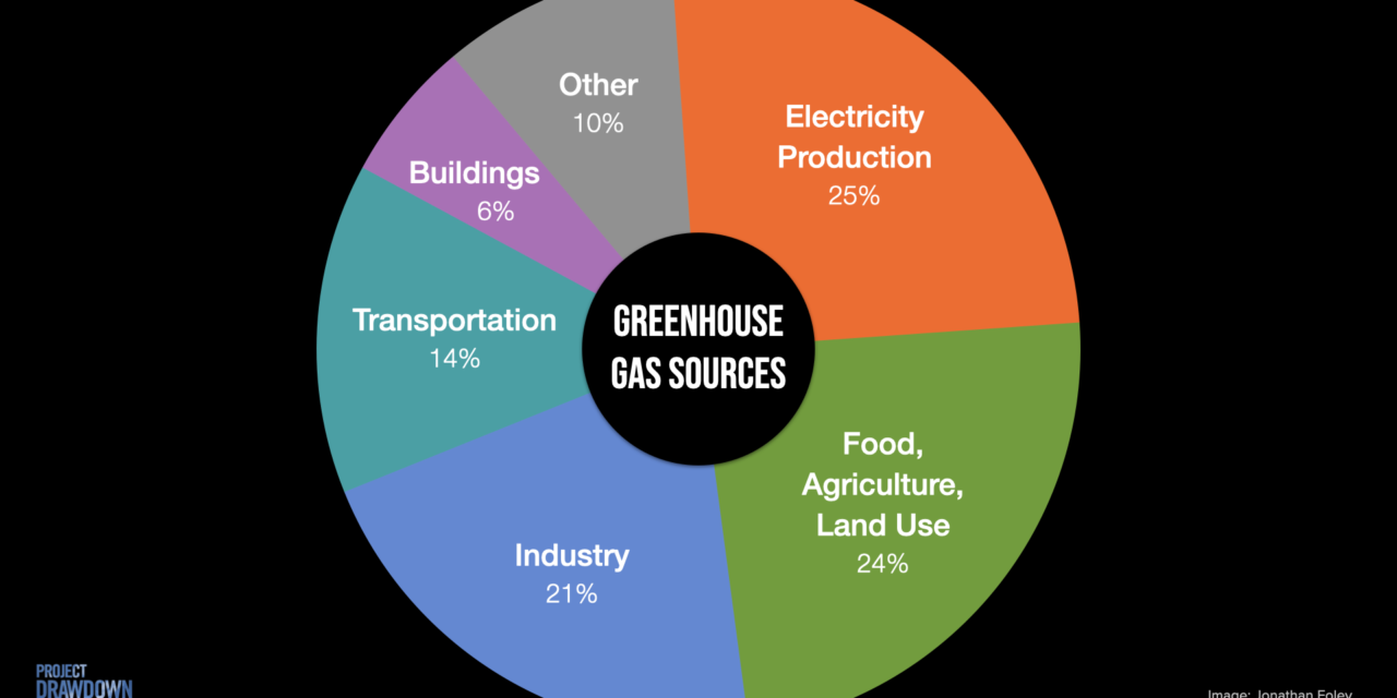 Project Drawdown’s Roadmap to a Sustainable World