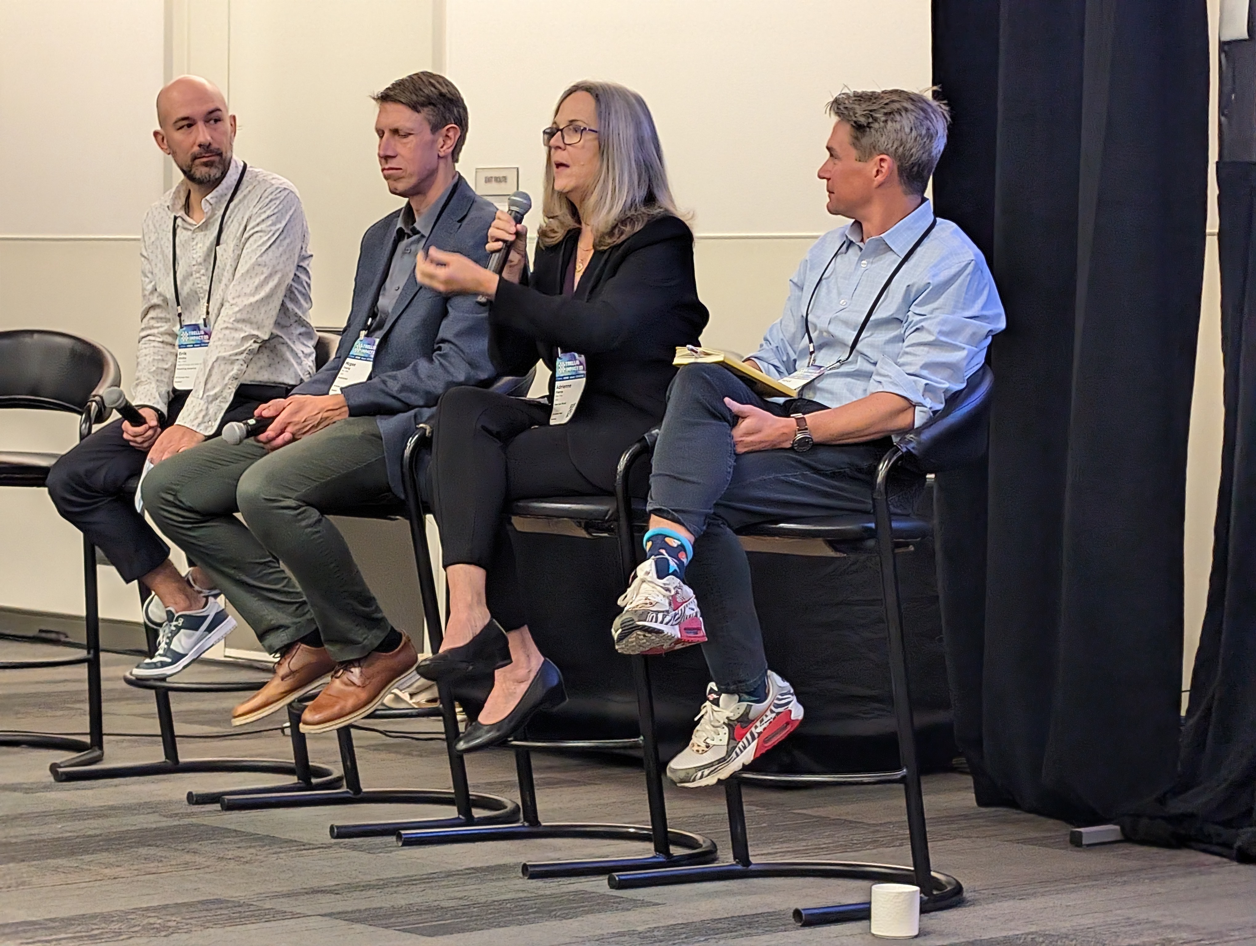 Four members of a panel discuss AI